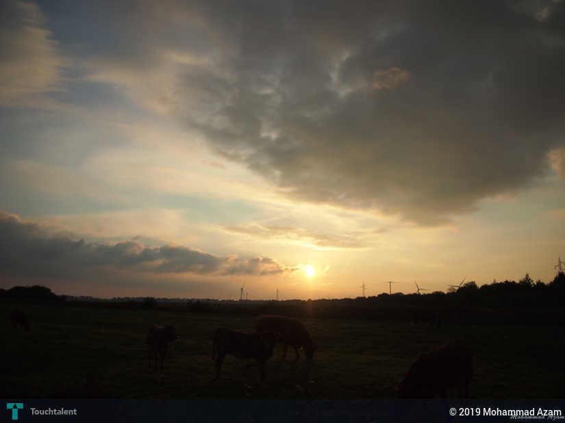 Sky Husum Sky Husum