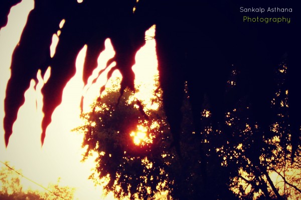 Three things cannot be long hidden: the sun, the moon, and the truth.